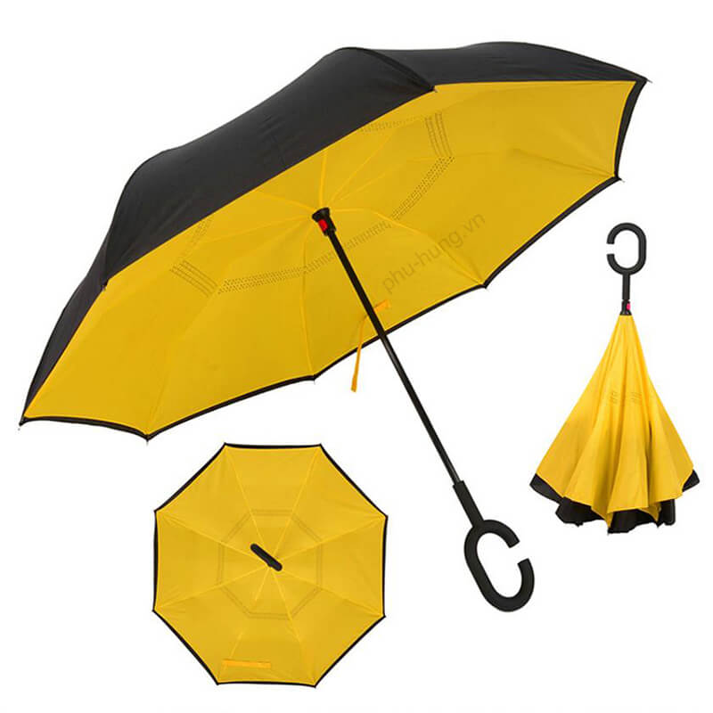 Umbrella 5
